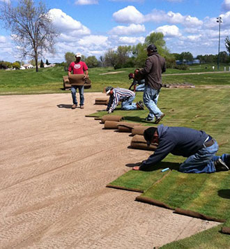 Sod Delivery and Installation