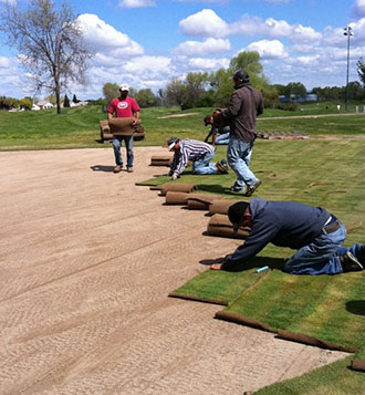 sod-laying Sod Delivery and Installation